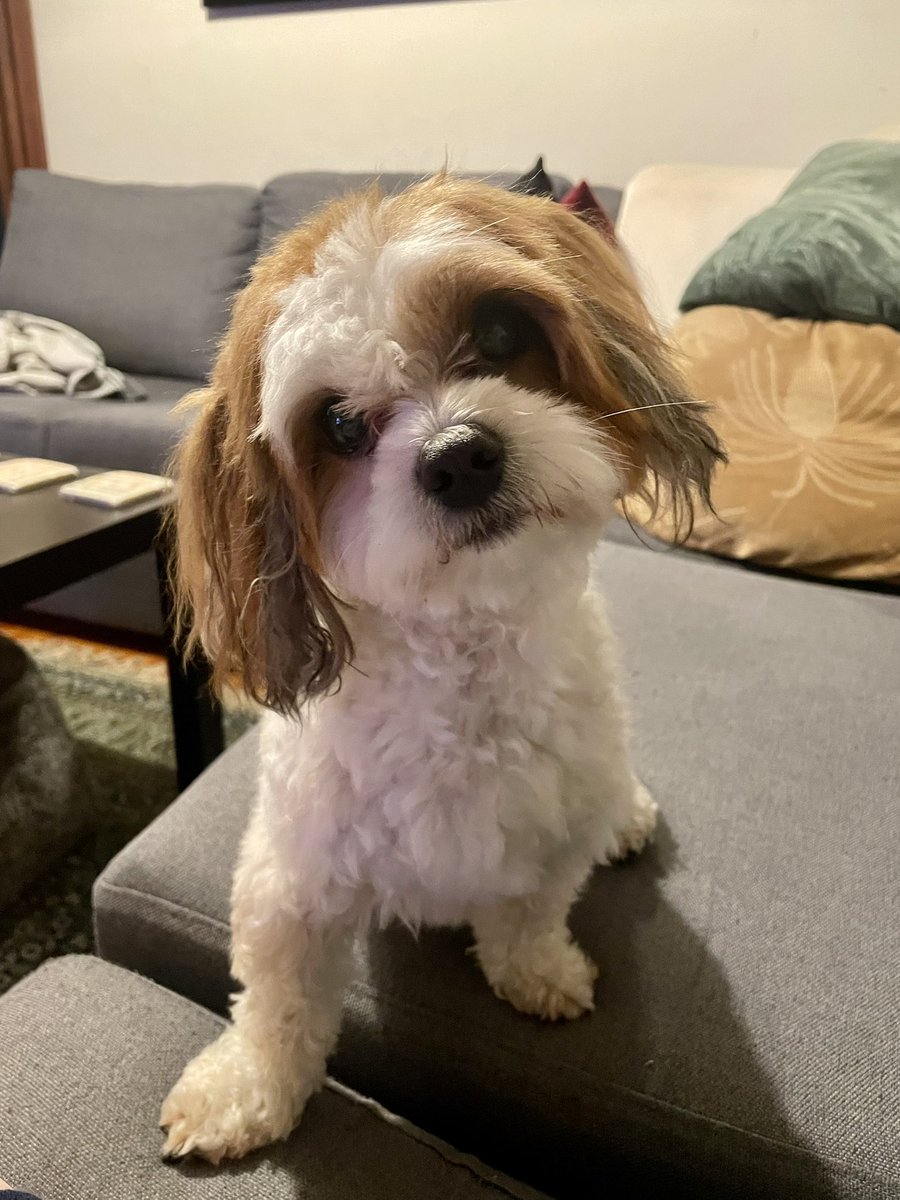 Geoff Valent tweet media