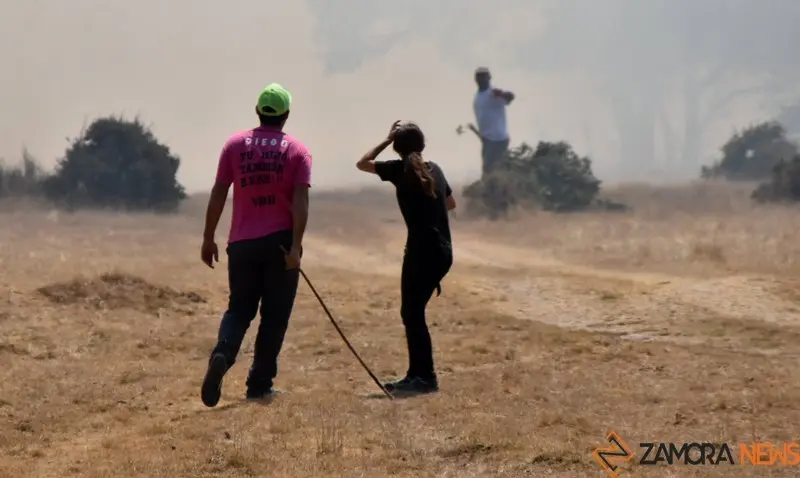 Declaraciones fuera de control: el CECOPI de Zamora desnuda la gestión de Mañueco y enciende la indignación en los pueblos
zamoranews.com/articulo/zamor…