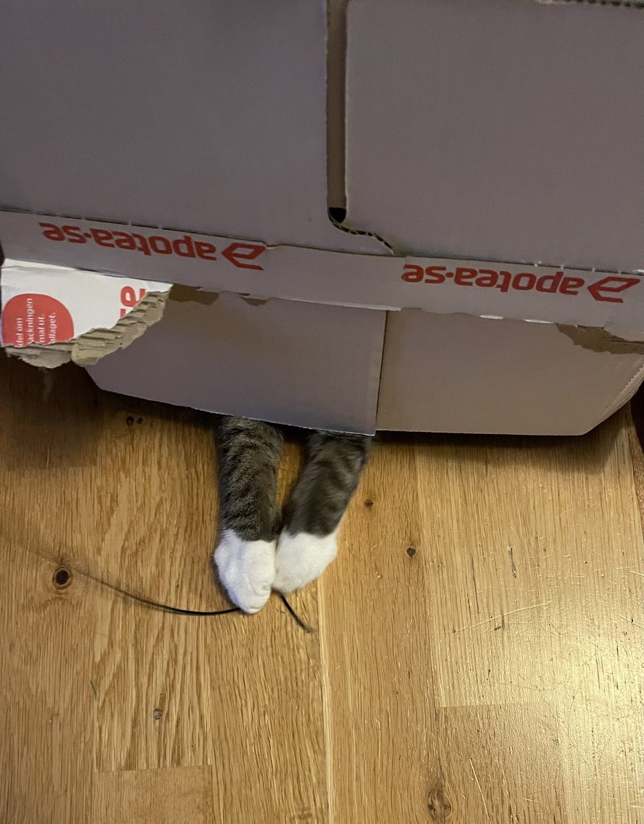 Kolla Sigge! <a href="/ahagman/">Anders Hagman</a> #dagensmiffo älskar kattonger från <a href="/apotea_se/">apotea.se</a> 📦😻