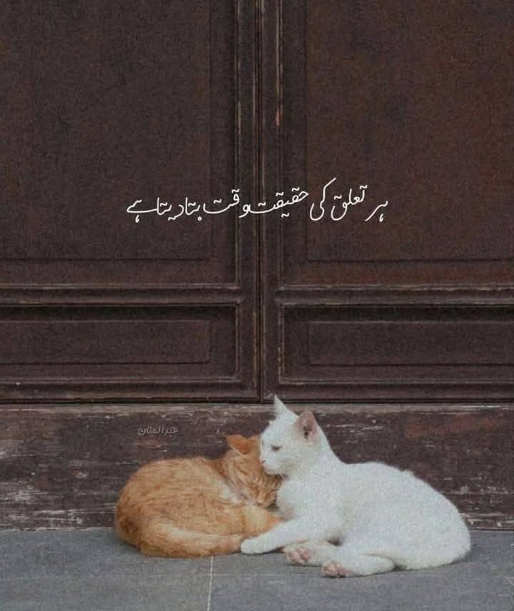 💯 
<a href="/AKIF_Pk/">💯 AKIF 💯</a> <a href="/Asifullahwazir4/">Asif Ullah Wazir 🫶</a> <a href="/gondalpatriot/">Nawaz Gondal</a> <a href="/FazalZaina95811/">zainab fazal</a> <a href="/chirfanali6/">ch irfan ali #نون_کا_جنون</a> <a href="/naeemtoronto/">N A E E M</a> <a href="/Irumwarraichh/">Irum Chauhdry</a> <a href="/Nothingxs0/">@Nothing</a> <a href="/AaTi_SarKaaR/">Khan Attiq ur Rehman</a> <a href="/UmaidJafri/">Umaid Jafri</a> <a href="/_1Anu/">عنـͦ͢͝ــایـَََــ۬ـٰ۬ـ۬ــَََـہ♛</a> <a href="/A_tta4/">Atta Ayub</a> <a href="/As01Ra/">Asma Rajput</a> <a href="/ImUsamaCh/">Hafiz Usama Abubakar</a> <a href="/its_f5S/">ZaHra</a> <a href="/itsmesaaher/">Ayesha 🥀</a> <a href="/KaleemIbrar999/">Kaleem Ibrar</a> <a href="/KhushiDiva2/">خوشــــــی</a> <a href="/mir_hain/">MIR</a> <a href="/Khaak_zaadi44/">خاک زادی</a>