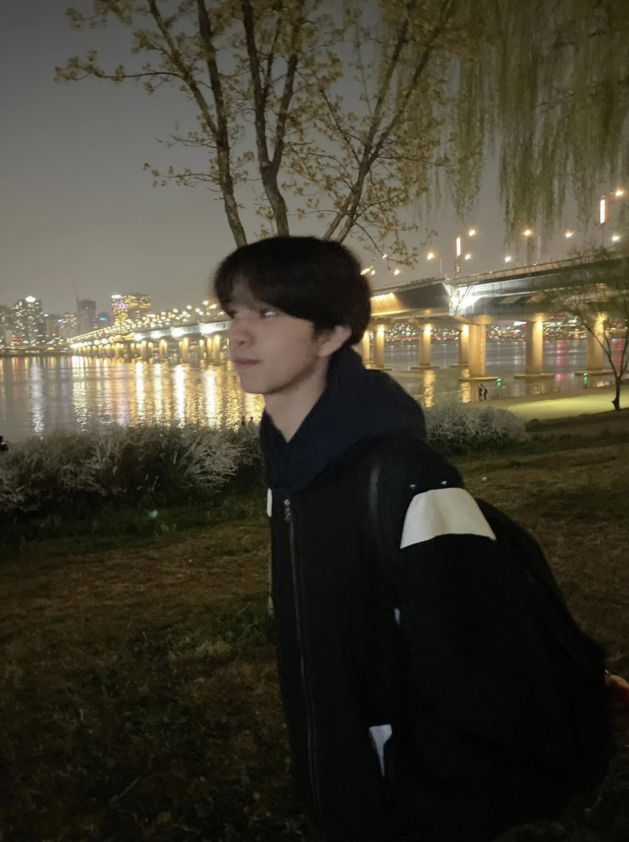 sho - Search / X