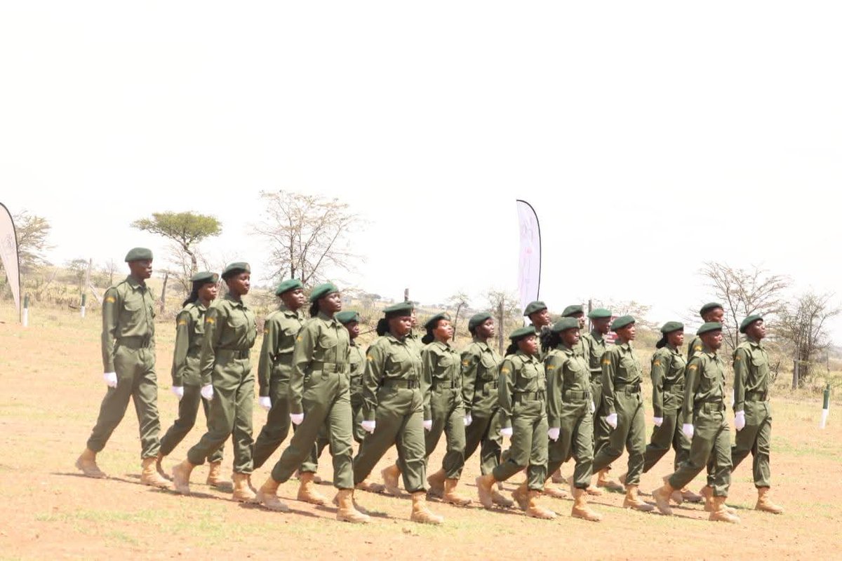 MaraRgrsCollege's tweet image. Trained, tested, approved, and ready. 🙌🏾
The journey was not easy, but the mission was greater.🌿🐘
A big salute to our newest skilled Mara Rangers. Go forth and be great!

#wildlifeconservation #graduation #ecotraining
