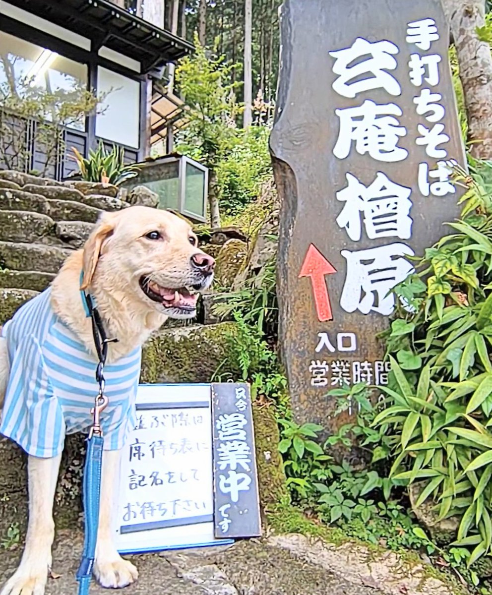 hana_sha_ki's tweet image. 今日の東京の日の出時刻は5:01 日の入りは18:30🌅
少しづつ日が短くなってきました🌄

秋川渓谷で川遊びの後は 檜原村(ひのはらむら)の『白庵 檜原』へ🥢
檜原村は 都内唯一の村(島しょ部を除く)だそう🏞️
テラス席で自然に囲まれながら野菜天せいろ(￥1500)を頂きました🍀
#秋川渓谷 #檜原村