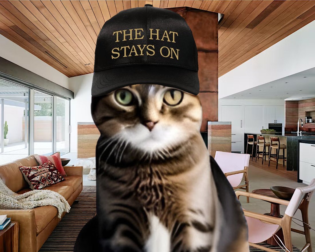 Living room charm 🎩 $cwif <a href="/catwifhatsolana/">Catwifhat $CWIF</a>