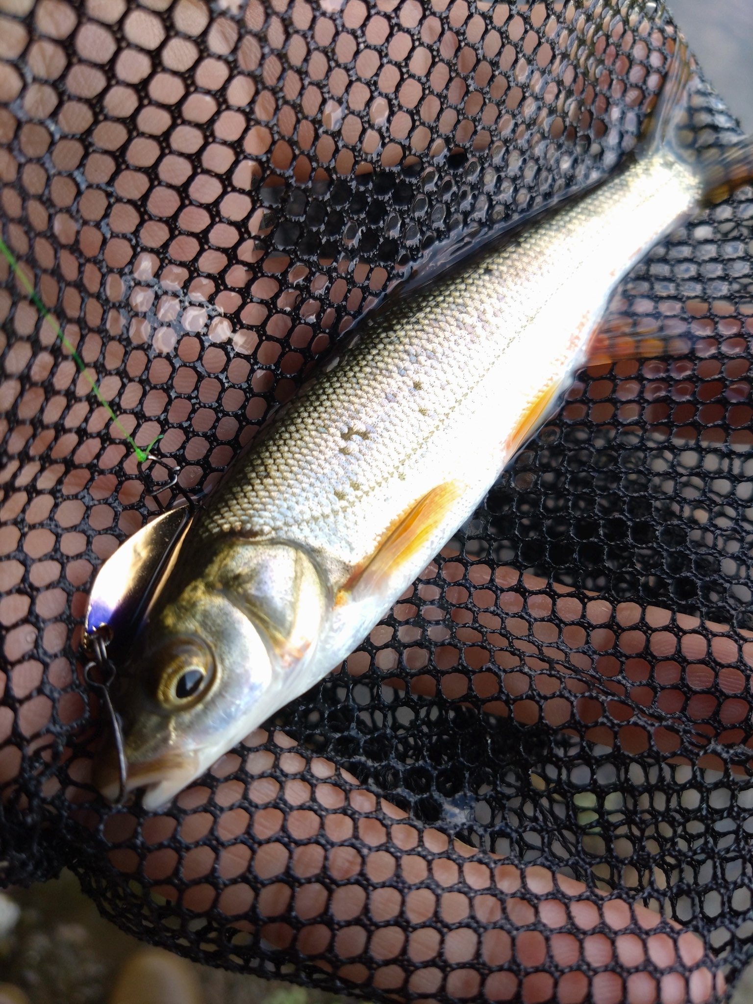 ルアーマン様❗️専用❗️ ジャンプライズ かっ飛び棒130BR ラトルSP フックレス 130mm/38g