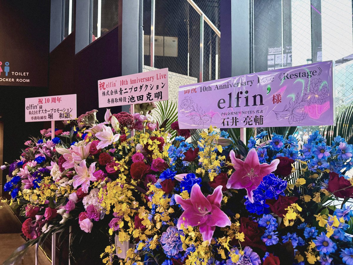 elfin'
10th Anniversary Live《Restage》

これまでに「それが罪でも」「発光」「わたしになりたい。」「Believer's Disco」などを書かせていただきました。
"奇跡たちが一堂に集うワンマンショー" を観て、出会えたことへの感謝の想いが思い出と共に溢れます。

結成10周年、おめでとうございます！