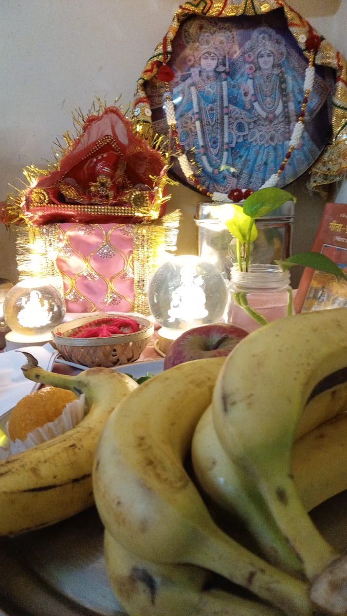 हरे कृष्णा हरे रामा ...भगवान श्रीकृष्ण के जन्मोत्सव को घर घर मे मनायें और देखें बाल गोपाल क्या क्या नटखट करते हैं
#Janmashtami