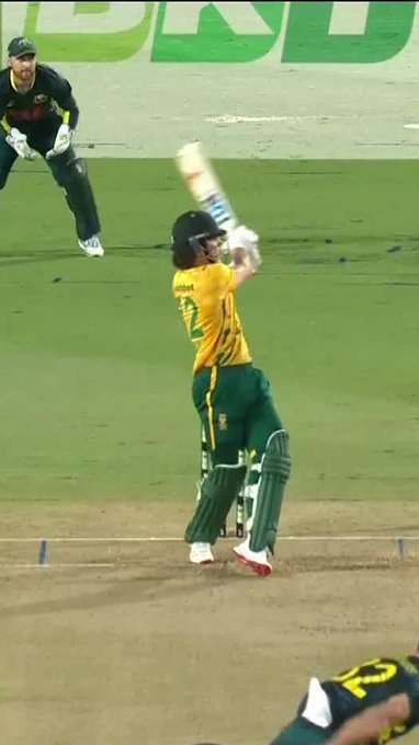 Oh my goodness, what a player Dewald Brevis is!
