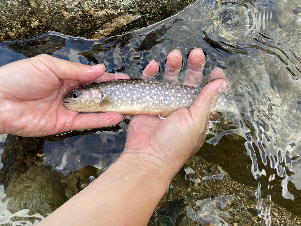 りちゃ カワサキ（KAWASAKI）2012年 Ninja ZX-14R・新登場のカタログ