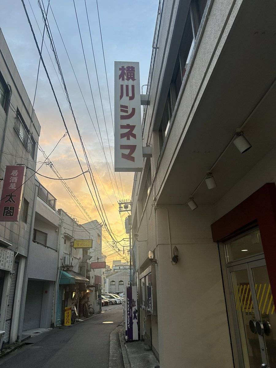 Sa1Rave (@lynx_0331) on Twitter photo 