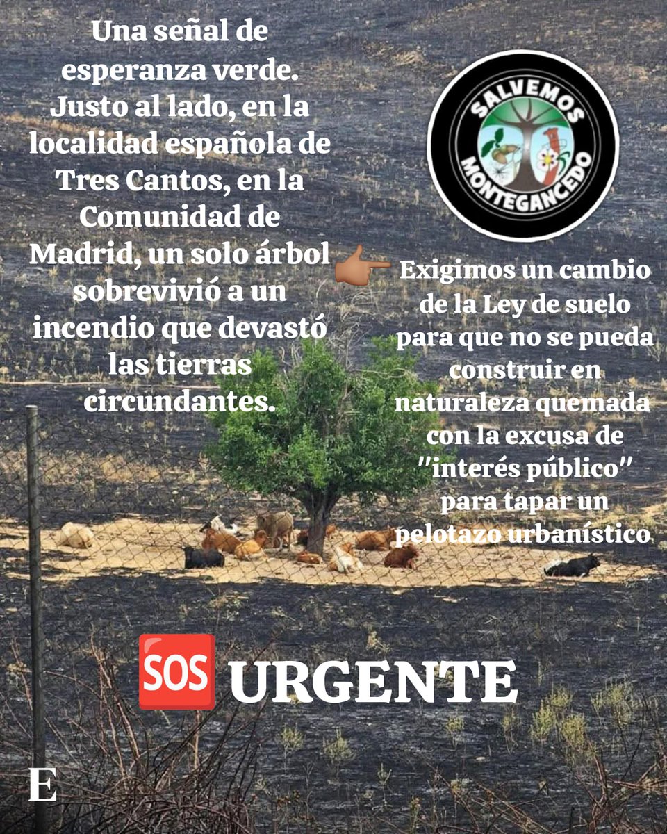 Boadilla Ya (@boadillaya) on Twitter photo 