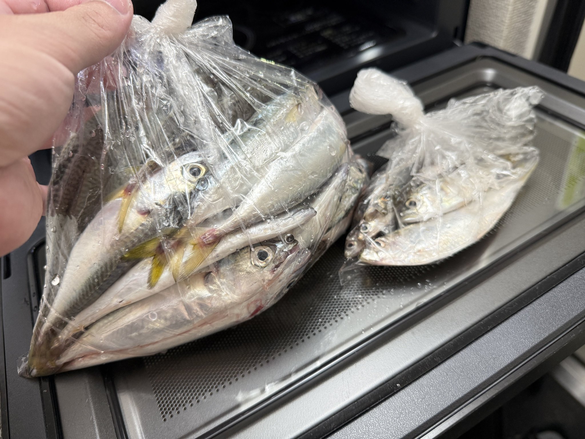 ①/2週刊　日本の魚釣り　まとめ売り　大量　アシェット ①/2週刊 日本の魚釣り まとめ売り 大量 アシェット