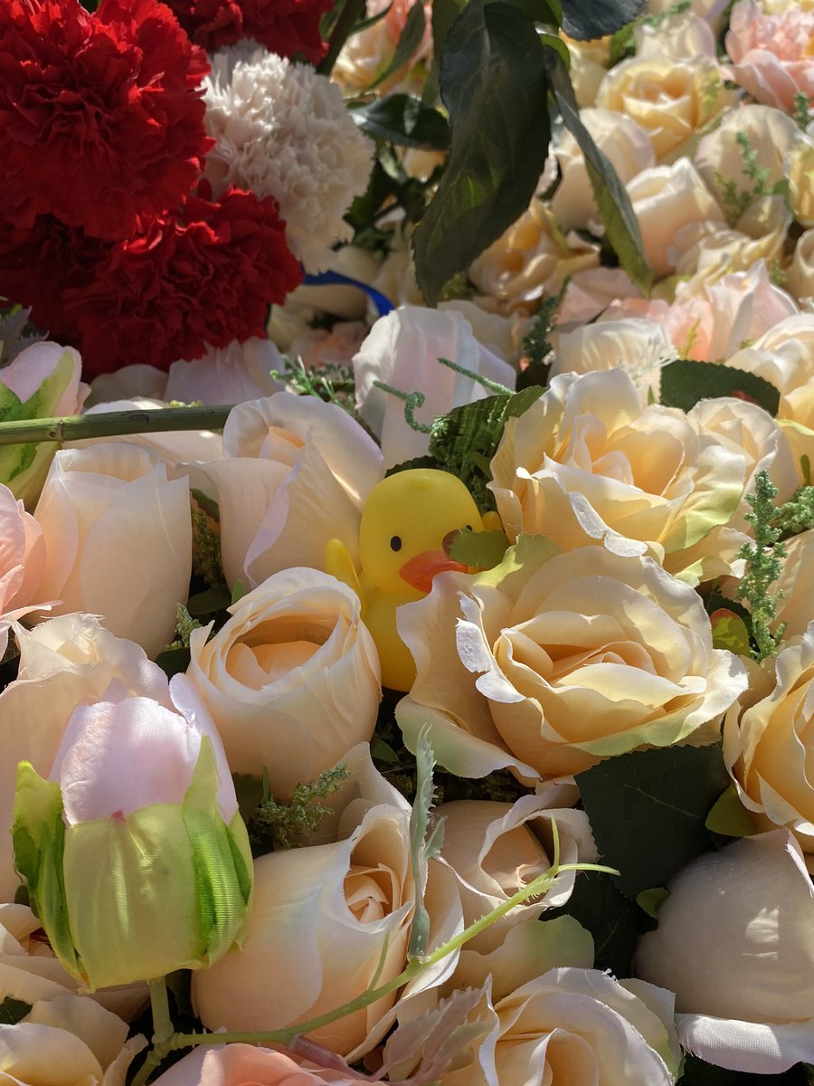 полтора года 💔
время летит очень быстро