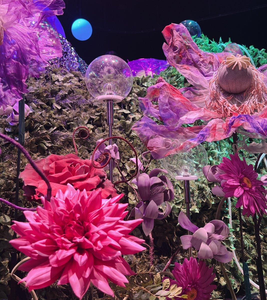 の*ん様 ☘️スペシャルイベント☘️737❤️超オンリーワンな逸品❤️超小輪多花 2025.9.2🎀 8thワンマンライブZepp Diver City改めてありがとう