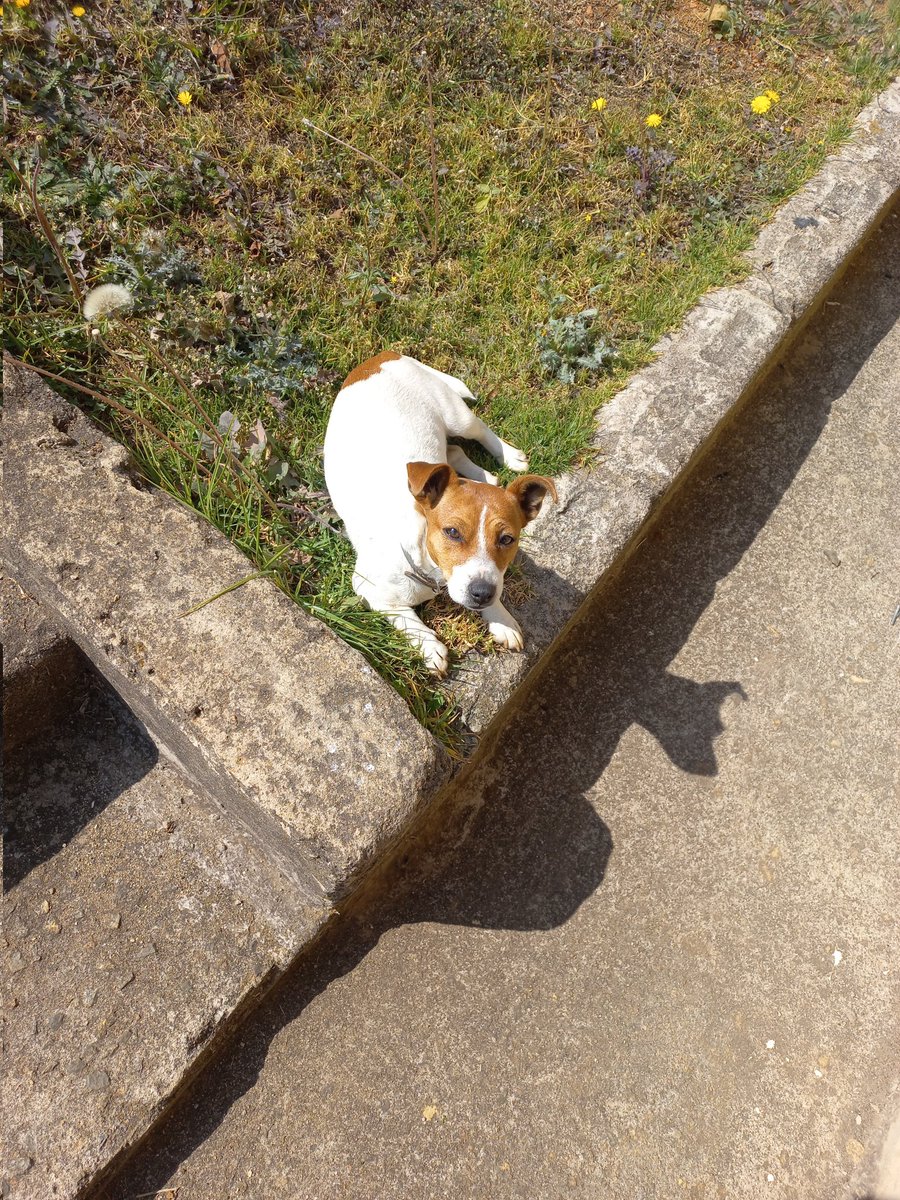 Saturday mornings 🌄 ✨️