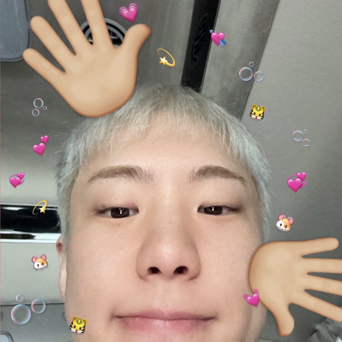 onidsukatiger's tweet photo. a babieeee https://t.co/Zx7moKogU5