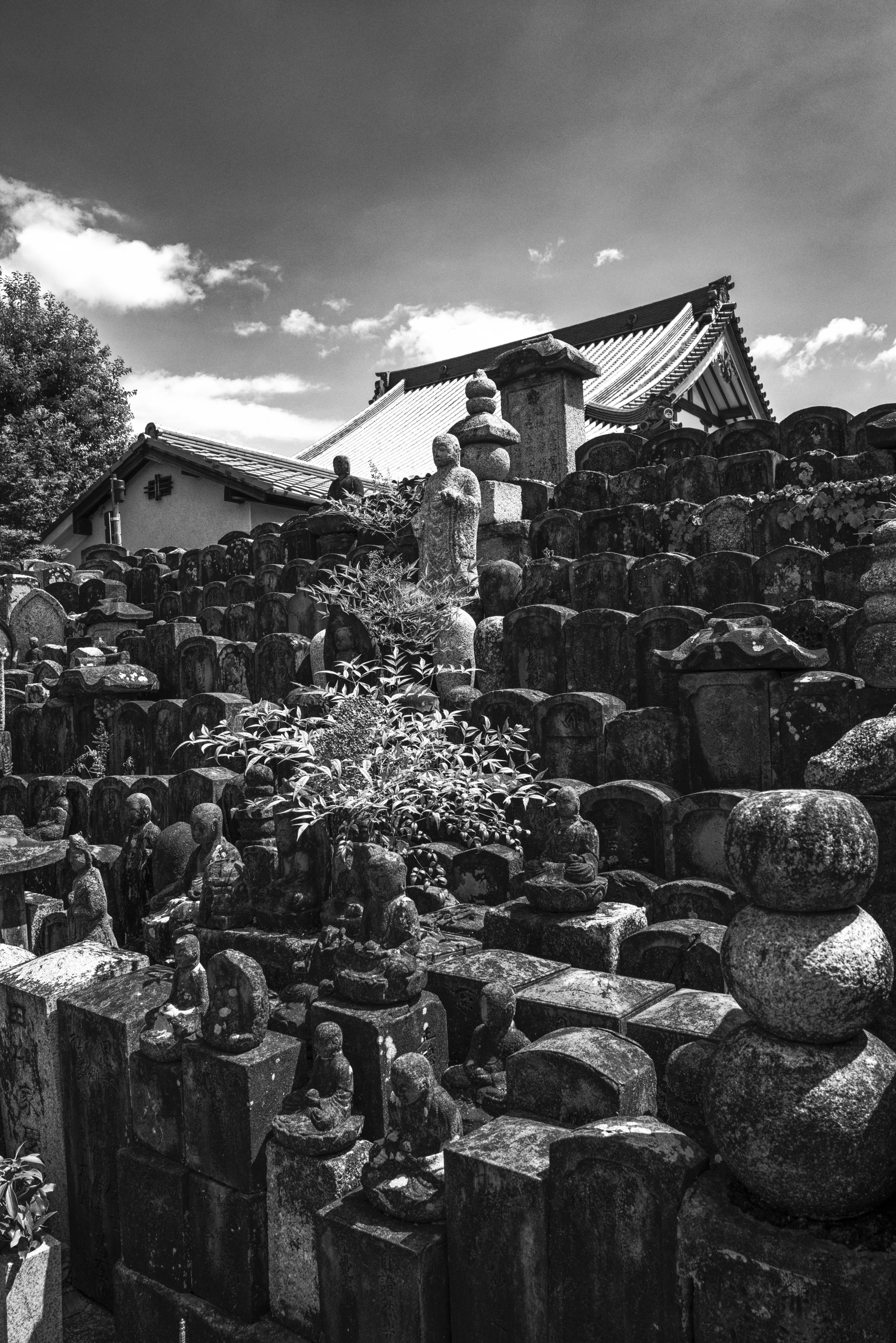 ［追跡郵送］日本語 逸失への恐怖 4枚 追跡郵送］日本語 逸失への恐怖 4枚 Kenji Adachi24 on X: