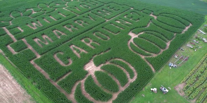 <a href="/TimesAlgebraIND/">Times Algebra</a> The world of Romance- 
Tim Sullivan wanted to ask his girlfriend, Caroline Liggett, a very important question — and he did it without saying a word. 
From a helicopter high in the sky, Sullivan and Liggett looked out over a 13-acre corn maze outside Columbus, Ohio, in which a