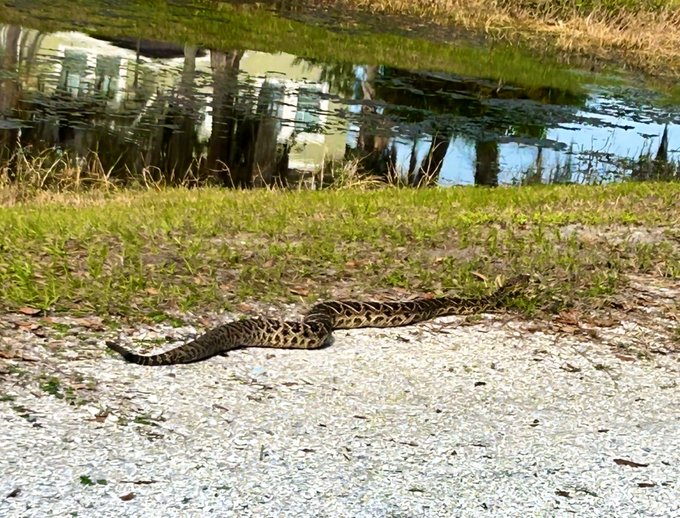 Watch London River's leaked NSFW photo on TwXstars