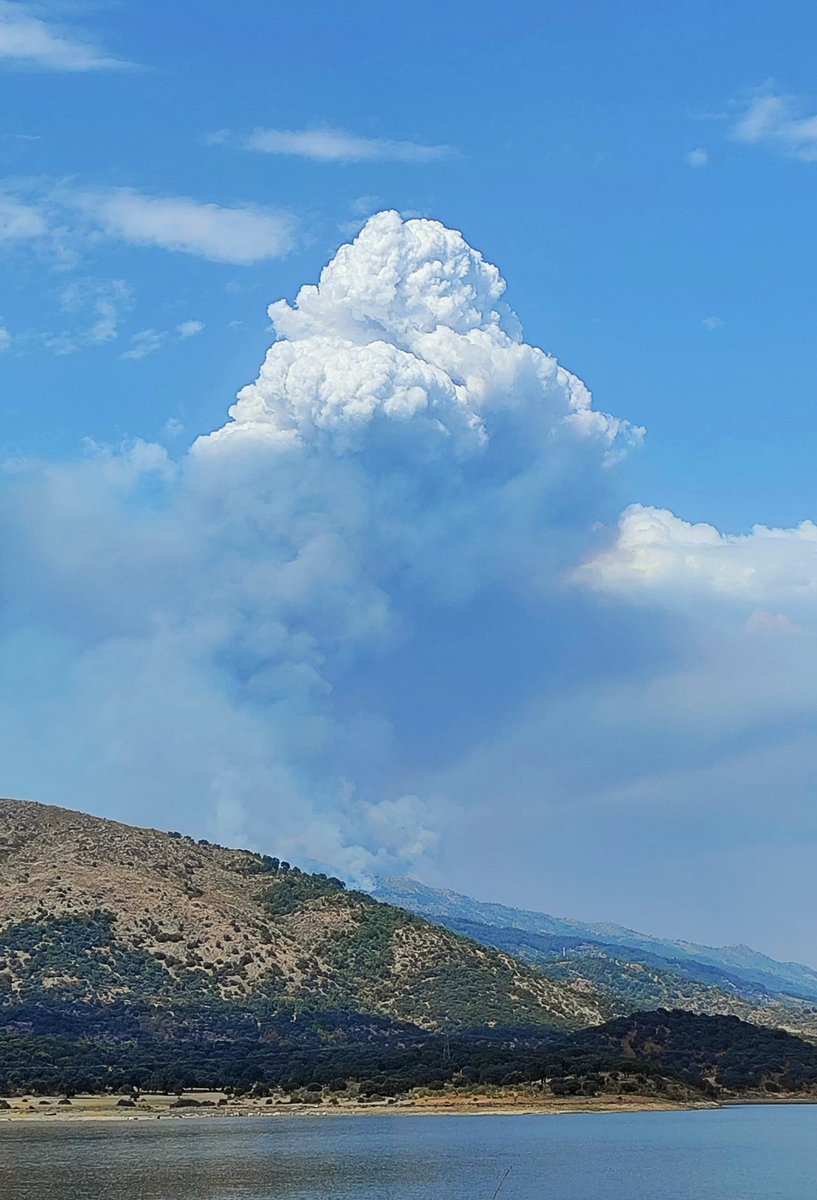 PacoCastanares's tweet photo. Impresionante el pirocúmulo que levanta ya el incendio de Jarilla (Cáceres)

#IFJarilla https://t.co/GsQmvT4S4N