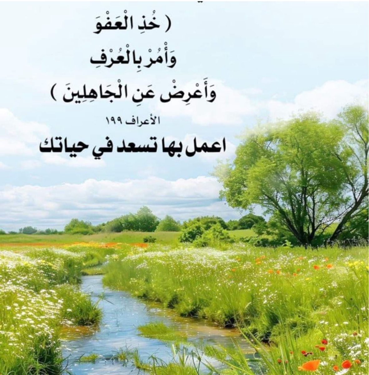 ا.د معدي العجمي tweet media
