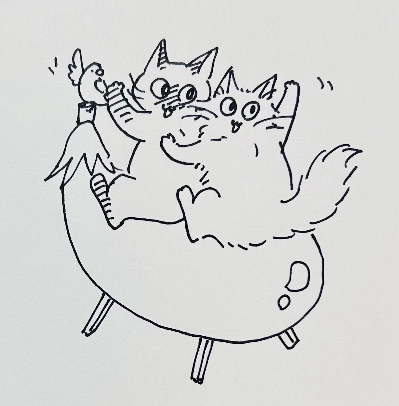 梶原美穂　猫イラスト　【太猫】 梶原美穂😸9/18-10/6個展「秋うらら、猫うらら。」@またたび堂
