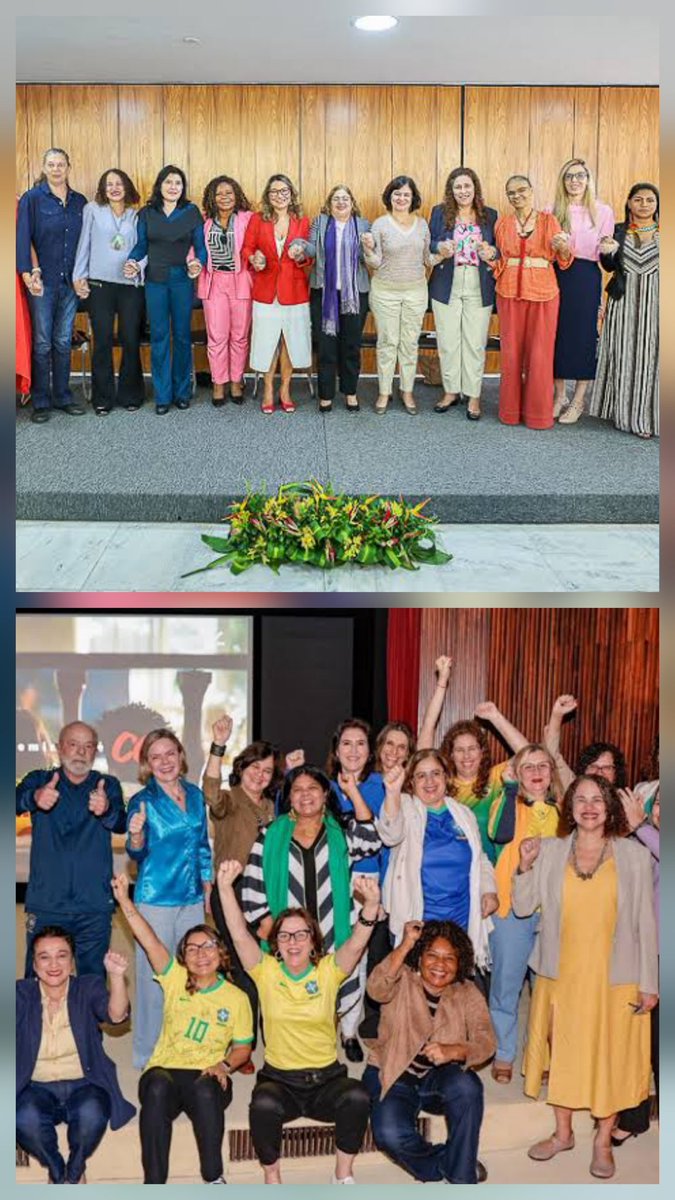 Lou Novak 💚💛💚💛 tweet media