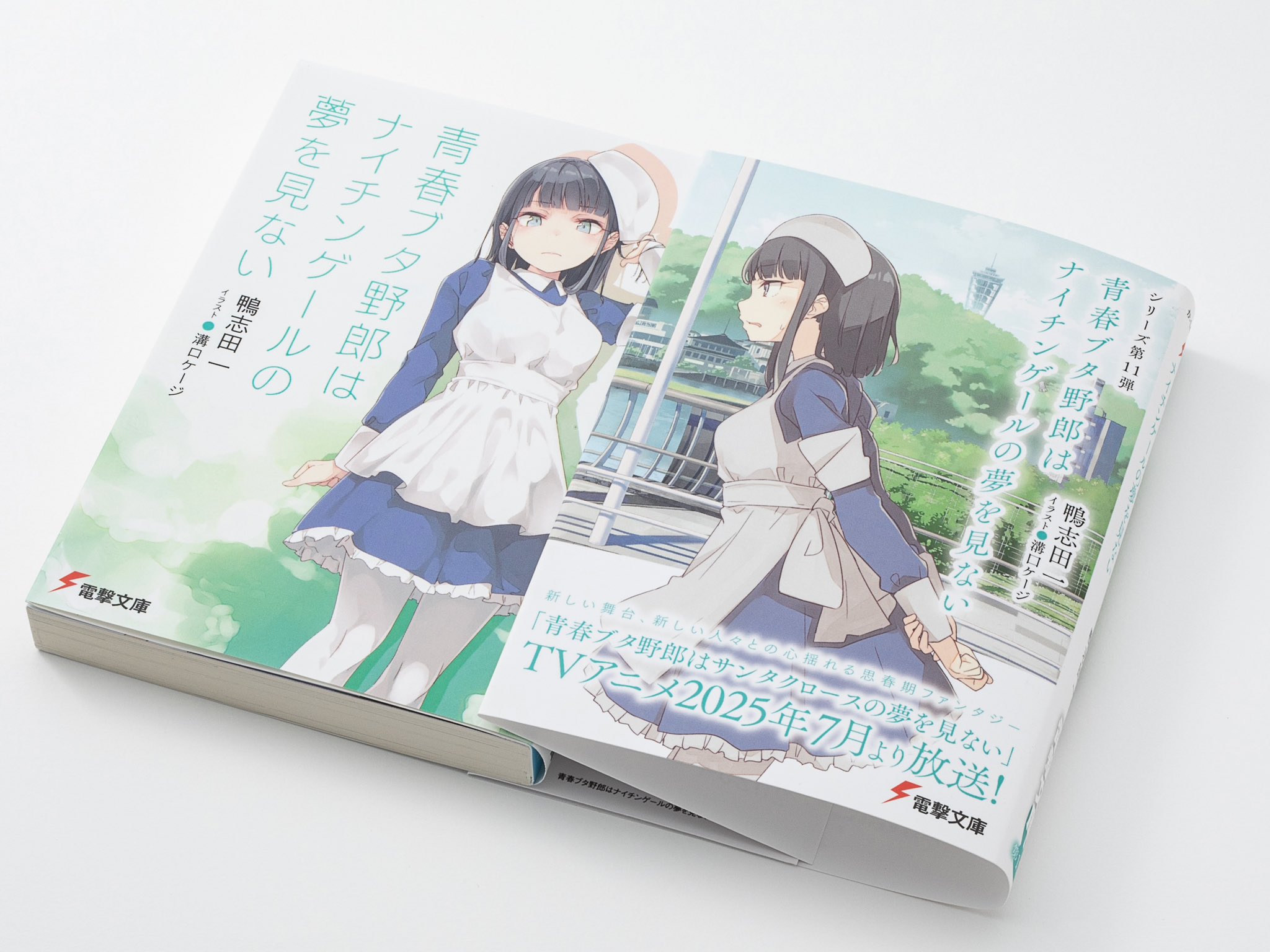 【サイン本】青春ブタ野郎はナイチンゲールの夢を見ない サイン本】青春ブタ野郎はナイチンゲールの夢を見ない 電撃文庫 on X