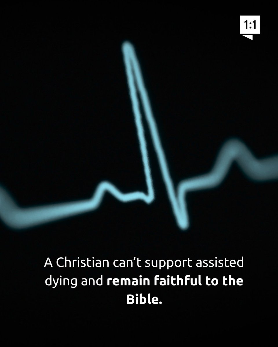 Answers in Genesis (@aig) on Twitter photo 