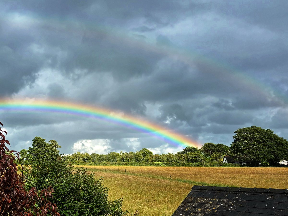 Color 
Sat, Aug 16 

<a href="/Gallery365photo/">Gallery365photo</a>
#Gallery365in2025DailyPrompt 
#Gallery365in2025 
#photography