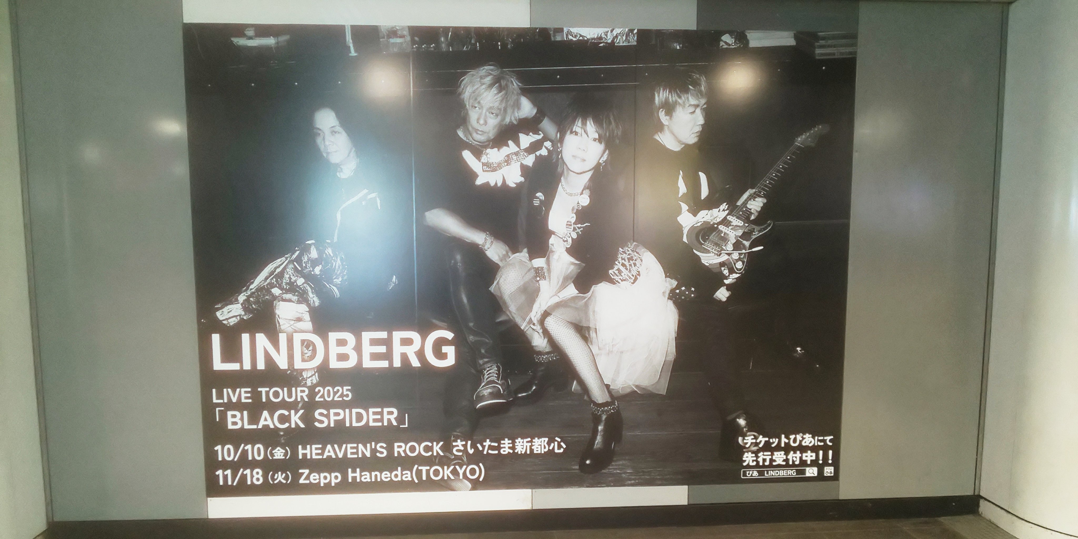 WANIMA CD 【相談乗ります】 Posts with replies by なおピー9.22,23東京ドーム①②