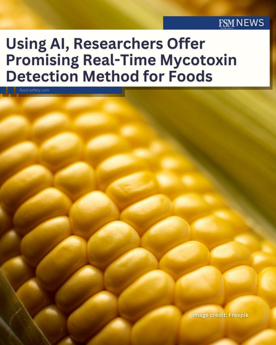 A new study offers a promising real-time mycotoxin detection method for the food industry that is based in artificial intelligence (AI) technology, and overcomes some of the limitations of traditional detection methods. #foodsafety

👉 MORE: brnw.ch/21wUY2s
