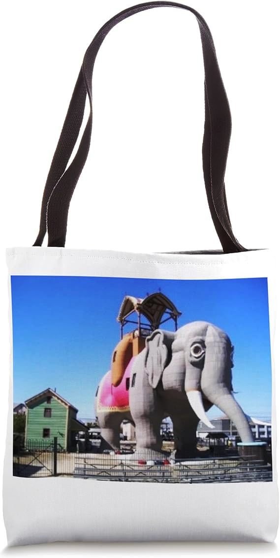 MirrorFinish's tweet image. Our lightweight, polyester canvas-like fabric, 16” x 16” Tote Bags are now available at our Frank Canna Photography Amazon Store now with 140 new items!

Tote Bags
tinyurl.com/FrankCannaPhot…

#CapeMay #StoneHarbor #OceanCity #Margate #JerseyShore #PineBarrens #NJ