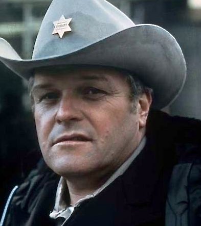 la marca de Stallone en el cine y la sociedad es muy superior a la Schwarzenegger.
Stallone se hizo así mismo, Arnold le debe mucho (muchísimo) a Cameron, que tributa a Carpenter.
Rocky y First Blood rankean alto en cualquier listado.
mención aparte a Brian Dennehy, el más malo.