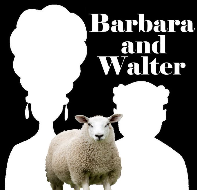 I'm Walter. There was so much cotton, in the bottle of Vitamin C that I bought, that they should write on the bottle, “This bottle contains Vitamin C pills and a free sheep”.

#weekend #podcast #Washington #comedy #California #writer #Canada #Toronto #medicine #England #Scotland