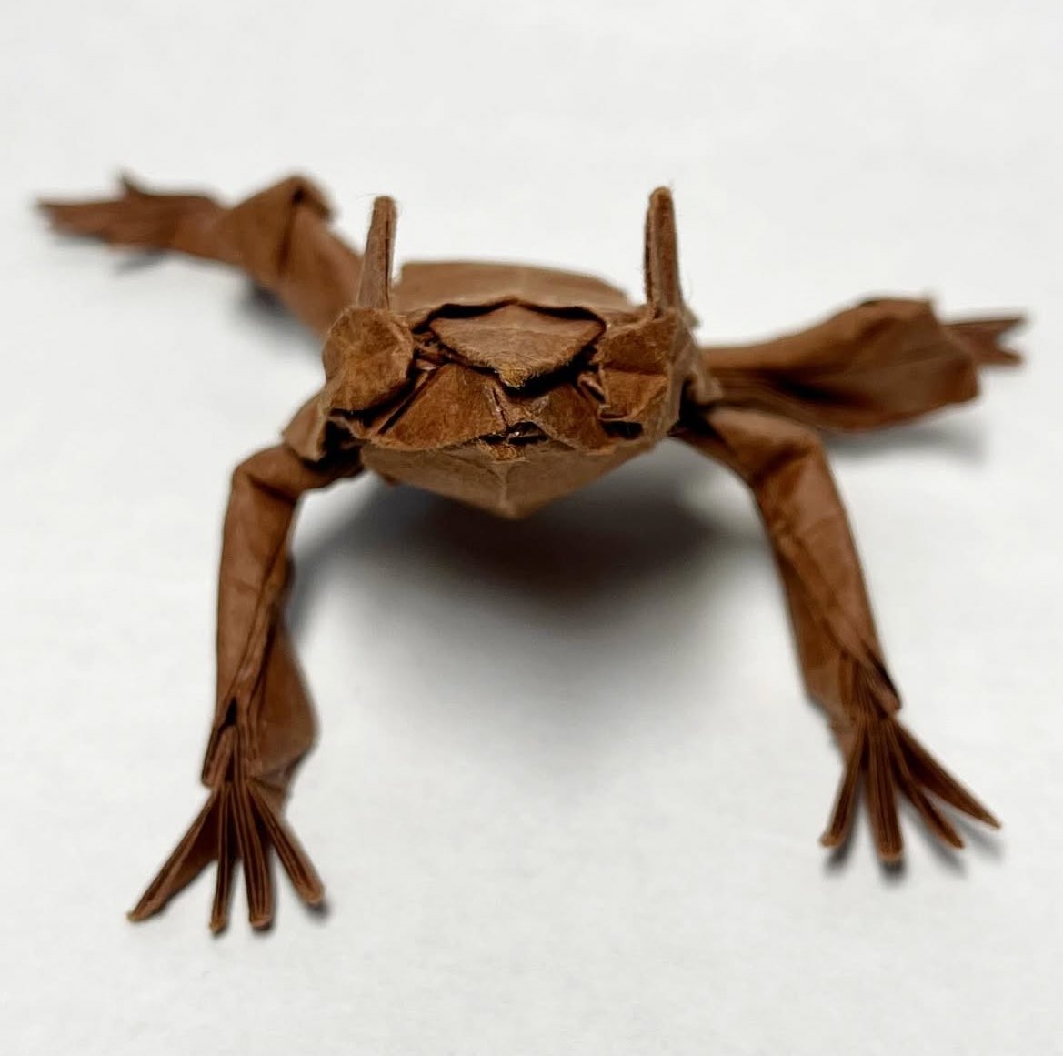 【ミツヅノコノハガエル/Megophrys nasuta】
創作:中村康祐さん/by Kosuke Nakamura
27cmビオトープ/不切正方形1枚折り
折紙探偵団マガジン211号より

　東海友の会の展示を見て、折りたいと思い挑戦しました。

#折り紙　#展開図折り