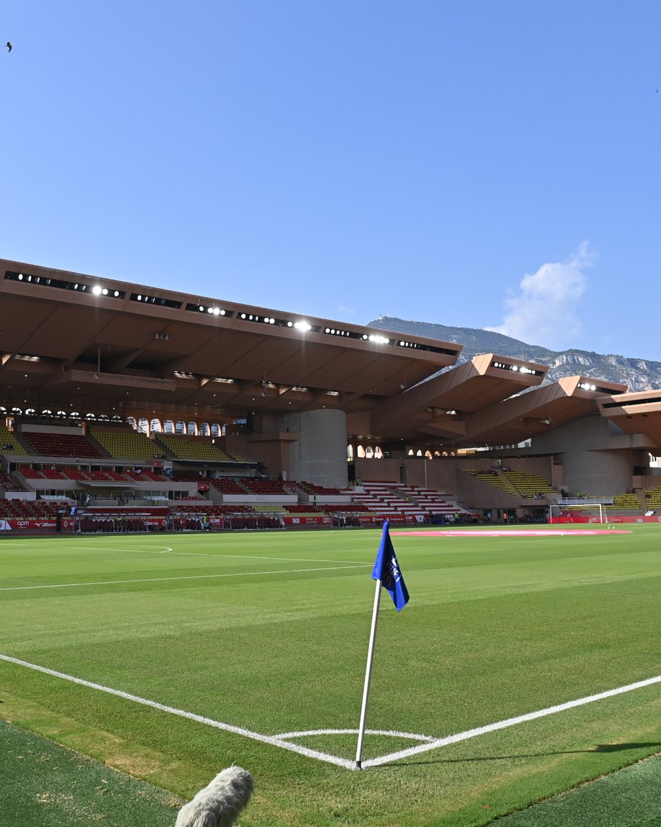 AS_Monaco's tweet image. La @Ligue1 est de retour au 𝗦𝘁𝗮𝗱𝗲 𝗟𝗼𝘂𝗶𝘀-𝗜𝗜 👋📷 

‣ #ASMHAC