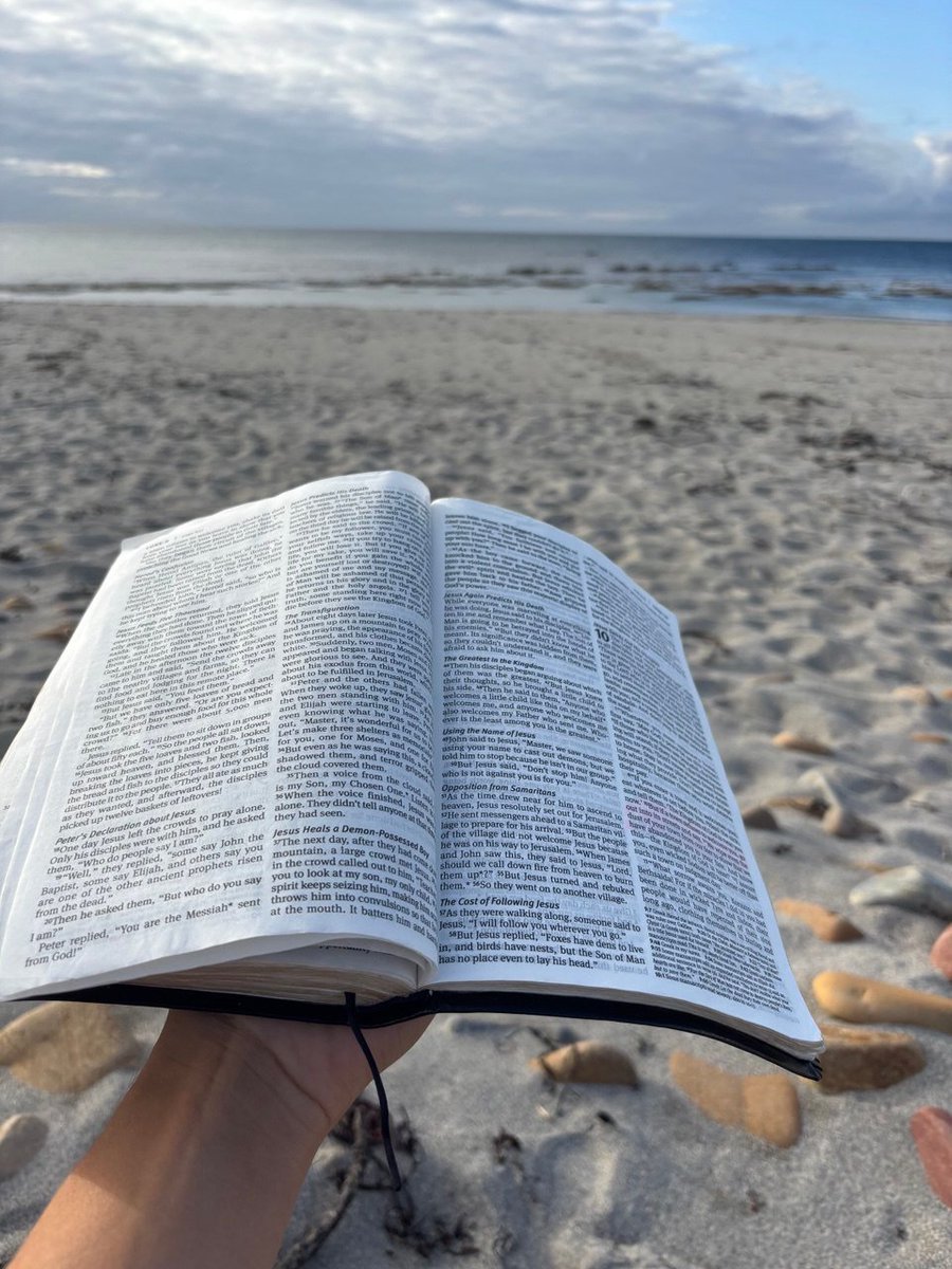 Nairn David tweet media