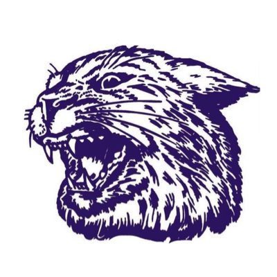 Seven more sleeps! Pregaming with friends, beers, stories, cigs, emotion overload and the Cats! Our team is better this year on both sides of the ball!!! Some fans act like we’re playing Georgia. Cats by 14 in Ireland! EMAW.