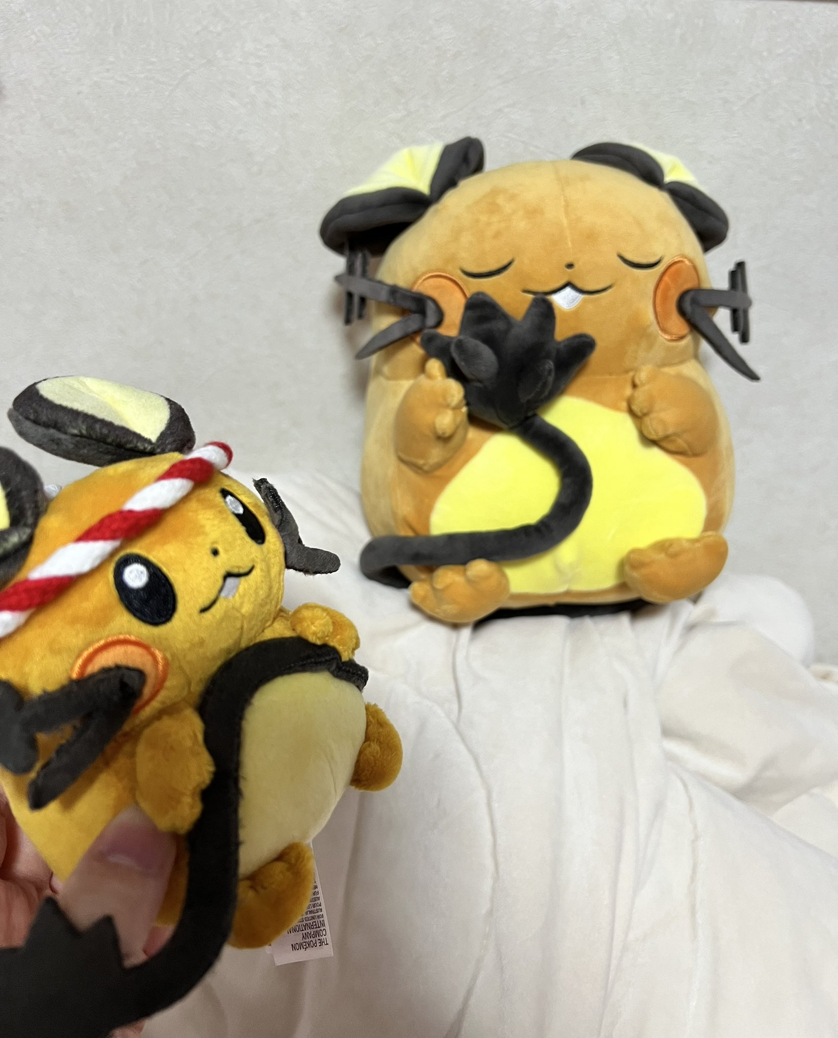 ポケモン - パグちゃん ykis 🎀c106土曜_東イ36b on X: 