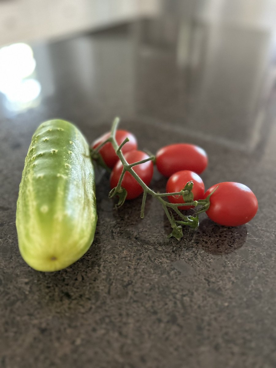 Thank you, neighbor. Out for a walk this morning and came home with the makings of a salad. NH’s summertime bounty ☀️