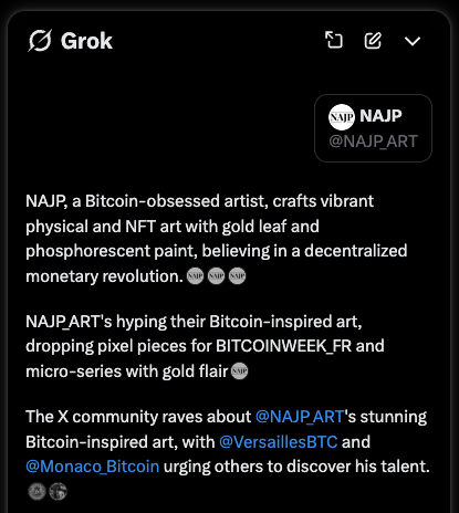 "NAJP, a Bitcoin-obsessed artist..." 
Tout n'est clairement pas pertinent, voir faux, avec le résumé de Grok mais quel beau début de description !