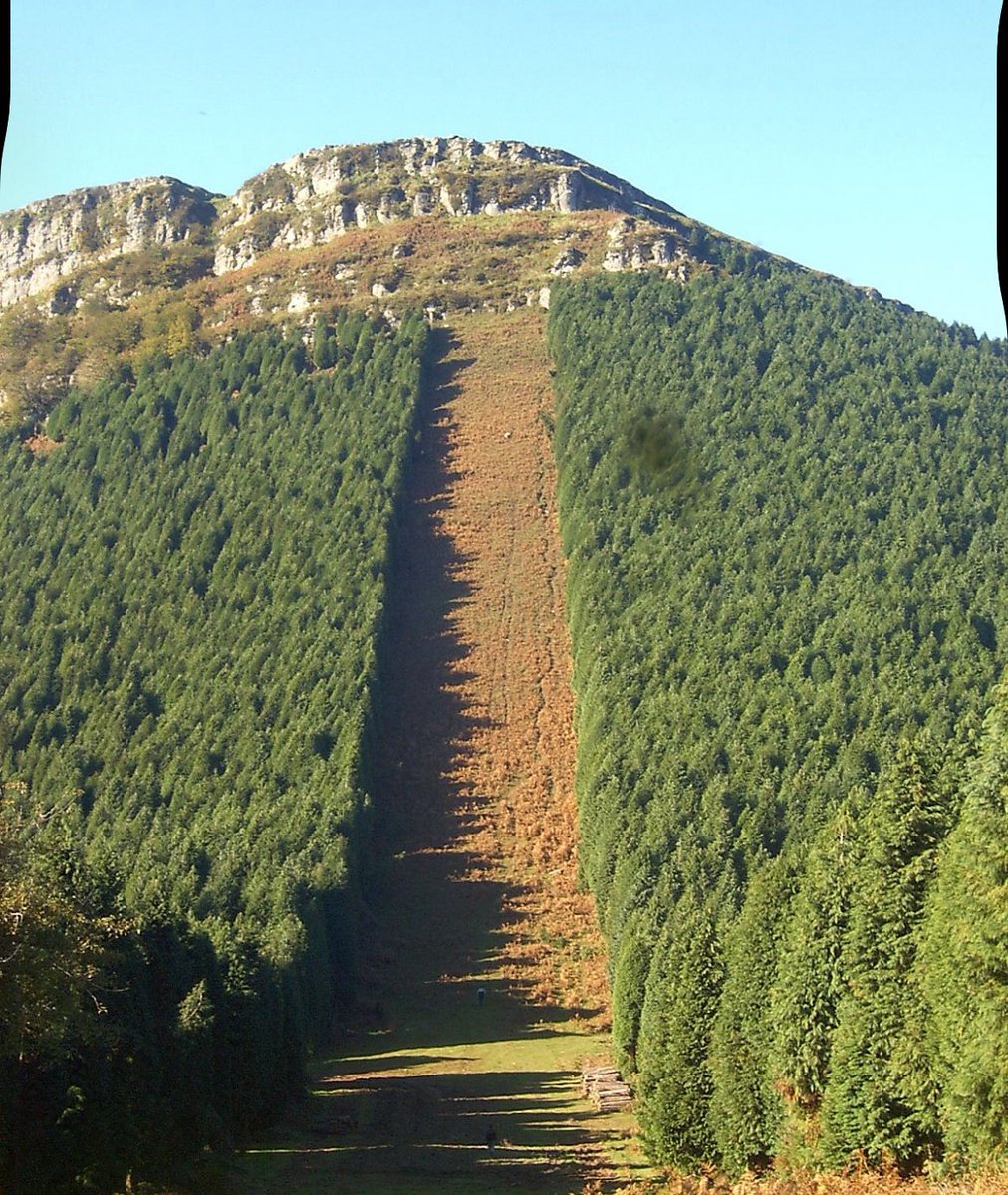 scale9b's tweet image. Algunos soy muy jóvenes, pero antes en el monte veíamos esto cada pocas hectáreas, había incendios pero ni tantos ni tan virulentos, ya que todavía no había nacido ese tal Cambio Climático, aunque estaba el ya olvidado Agujero de la capa de Ozono