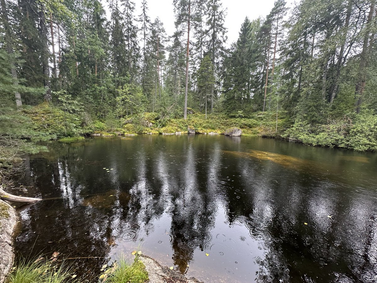 Lots of lake and duckies
