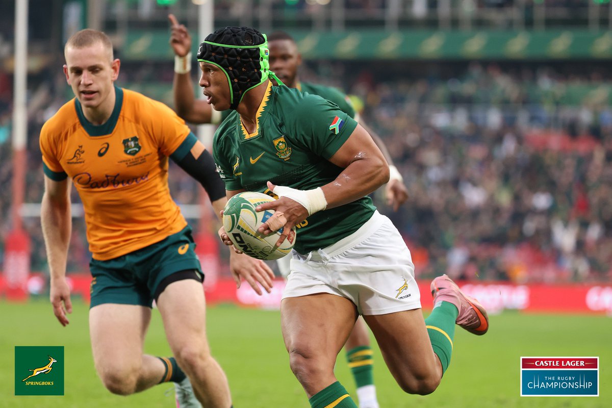 Springboks tweet media