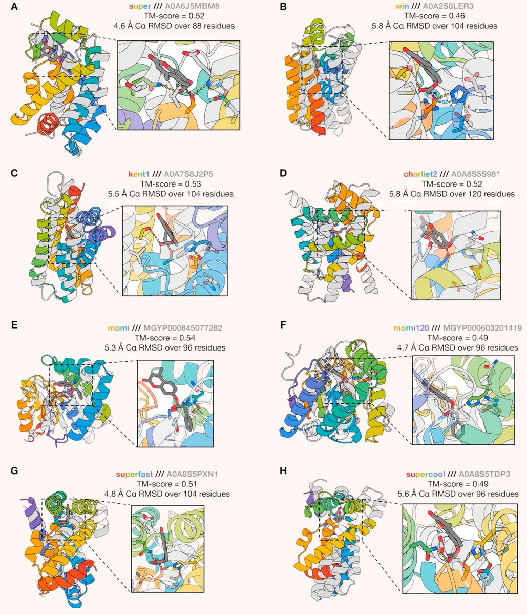 Protein designers have long dreamed of building new enzymes from scratch.

Unfortunately, enzymes are highly dynamic; they move around a lot and have intermediate states that are difficult to design computationally.

But a recent paper from David Baker’s group at the Institute