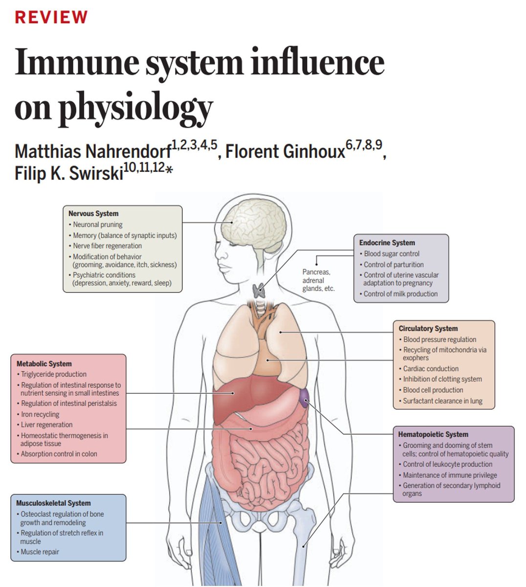 Sarah Ross (@sarah_h_ross) on Twitter photo If you are looking for a great read during your journey to <a href="/iuis_online/">International Union of Immunological Societies</a> Congress, take a peek at this review from <a href="/MatthiasNahrend/">Matthias Nahrendorf</a>, @Fginhoux and <a href="/SwirskiLab/">Fil Swirski & Scientists</a> in <a href="/ScienceMagazine/">Science Magazine</a> that explores the role of immune cells beyond host defence.
buff.ly/S5RkqTf If you are looking for a great read during your journey to <a href="/iuis_online/">International Union of Immunological Societies</a> Congress, take a peek at this review from <a href="/MatthiasNahrend/">Matthias Nahrendorf</a>, @Fginhoux and <a href="/SwirskiLab/">Fil Swirski & Scientists</a> in <a href="/ScienceMagazine/">Science Magazine</a> that explores the role of immune cells beyond host defence.
buff.ly/S5RkqTf