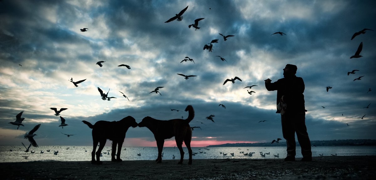 Life is strange... 
 
People are stranger... 
 
All together... Never mind...