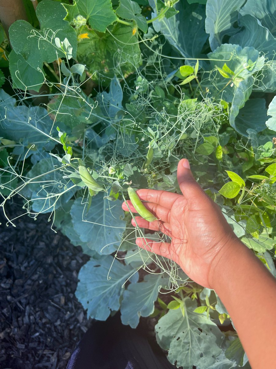 காரிகை 🌙🦋♥️ tweet media