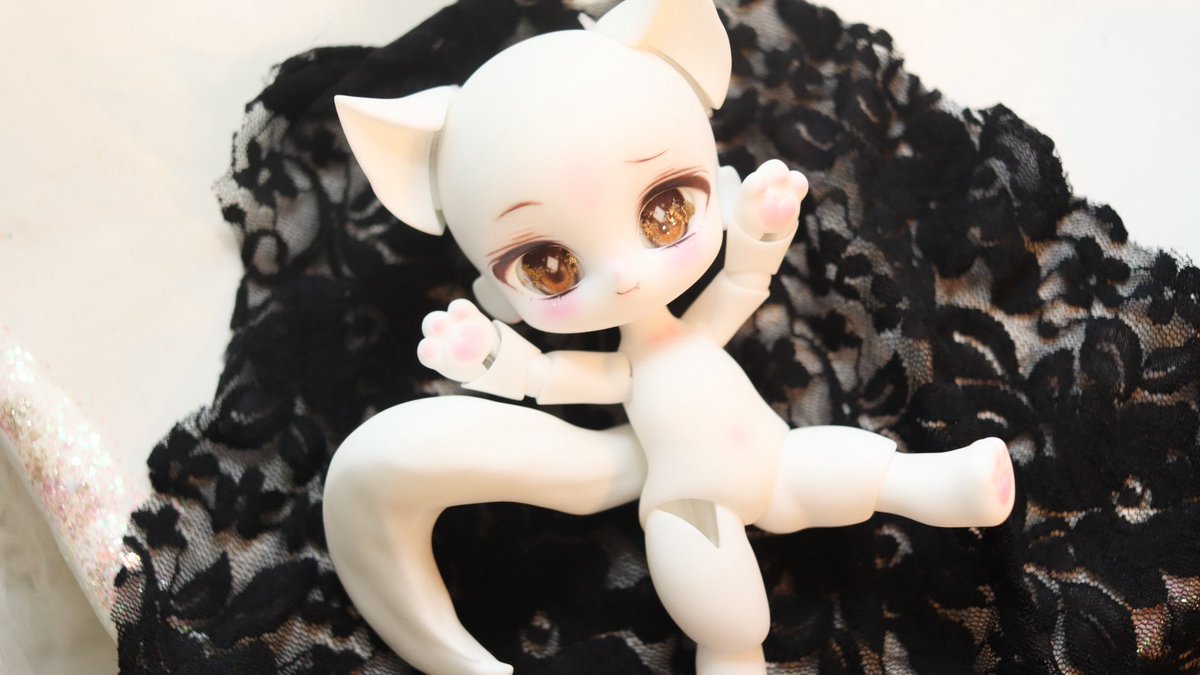 委託予定の子達です。